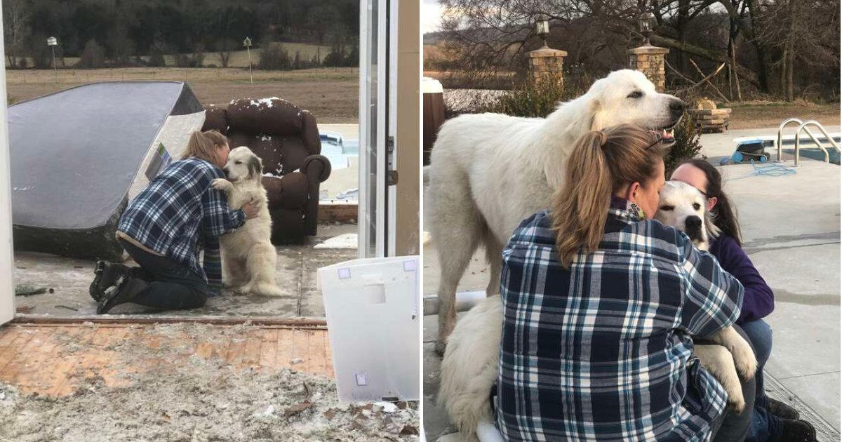 untitled design 88 1.png?resize=412,275 - Family Reunited With Their Dog After Tornado Ravaged Their House