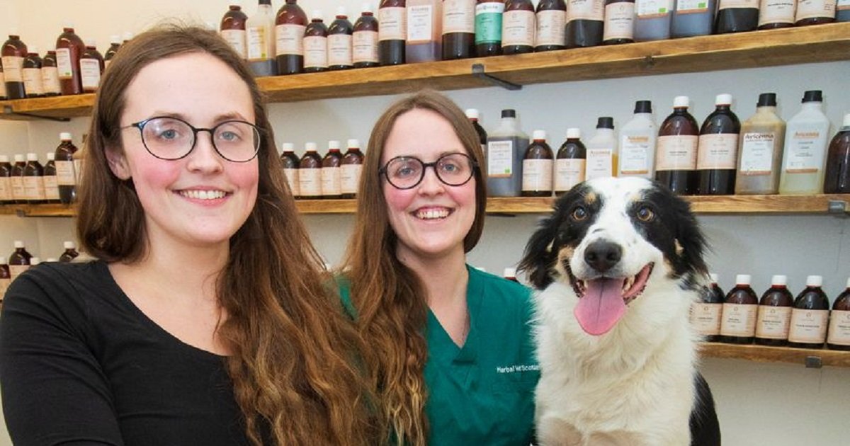 v3 1.jpg?resize=1200,630 - Twin Sisters Opened A Vet Clinic That Uses Herbal Remedies To Treat Pets