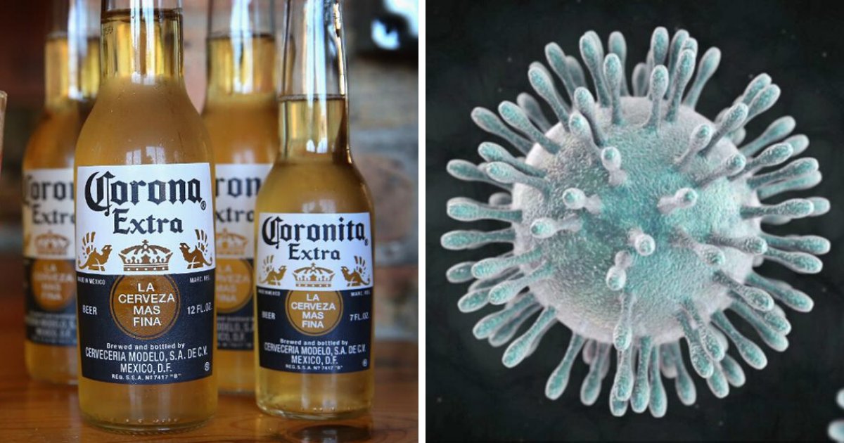 vonjour3.png?resize=1200,630 - Google relève un pic de recherches associant la bière Corona au coronavirus