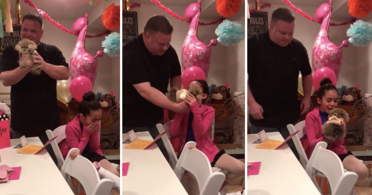 y2.png?resize=412,275 - Girl Gets The Gift Of Her Dreams For Her 11th Birthday Surprise