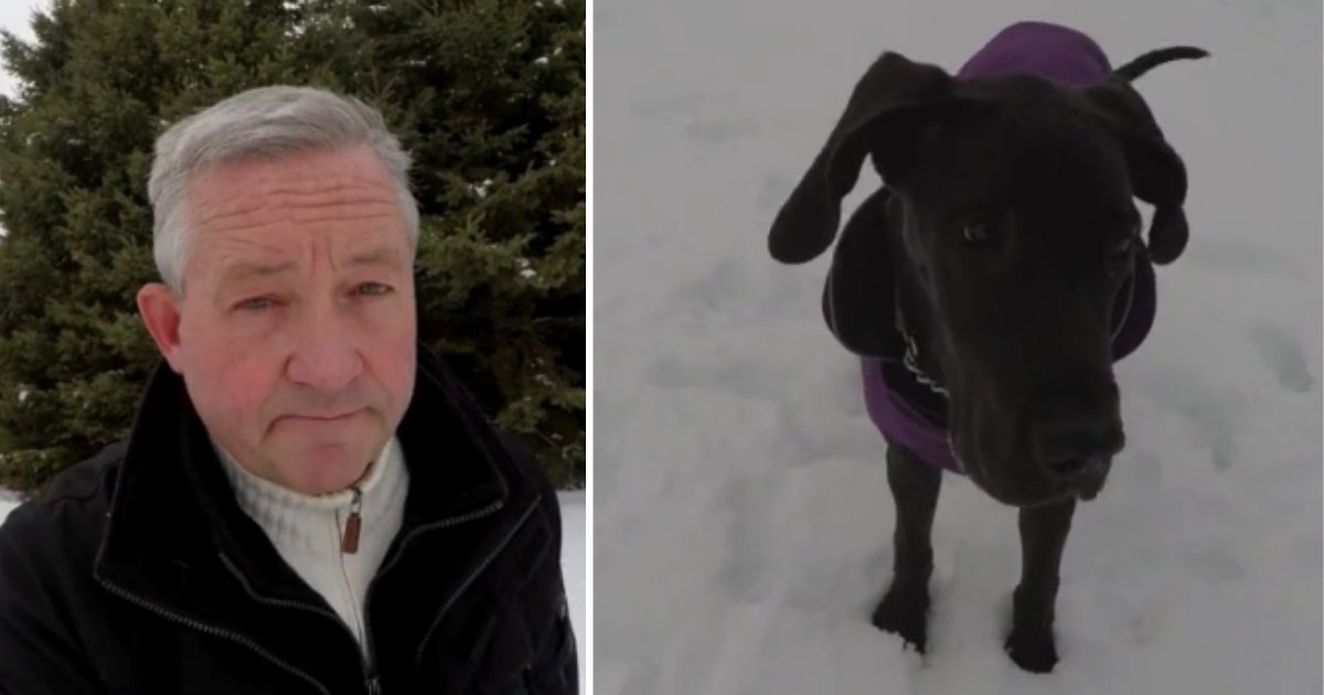 1 40.png?resize=1200,630 - Dog Helped Man Give Wife Incredible Valentine's Day Gift