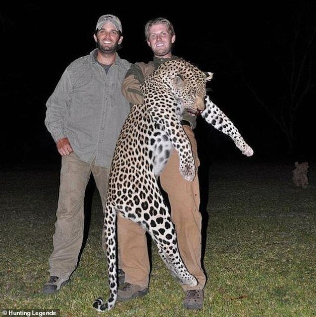 Donald Trump Jr., left, has been granted the right to hunt a grizzly bear in northwestern Alaska near the Bering Sea town of Nome. He is pictured here in 2012 during a big game hunt in Africa with brother Eric, right