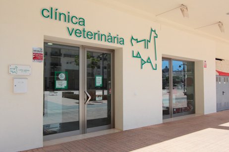 Resultado de imagen de clinica veterinaria