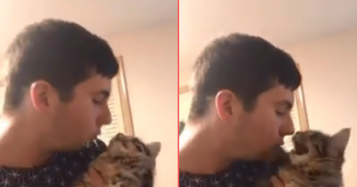 2 10.png?resize=1200,630 - Funny Cat Tries Hard To Avoid Kisses From His Owner