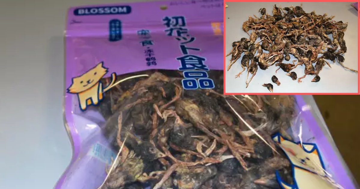 2 28.png?resize=412,275 - A Passenger Flying in From Beijing Was Found With A Bag of Dead Birds