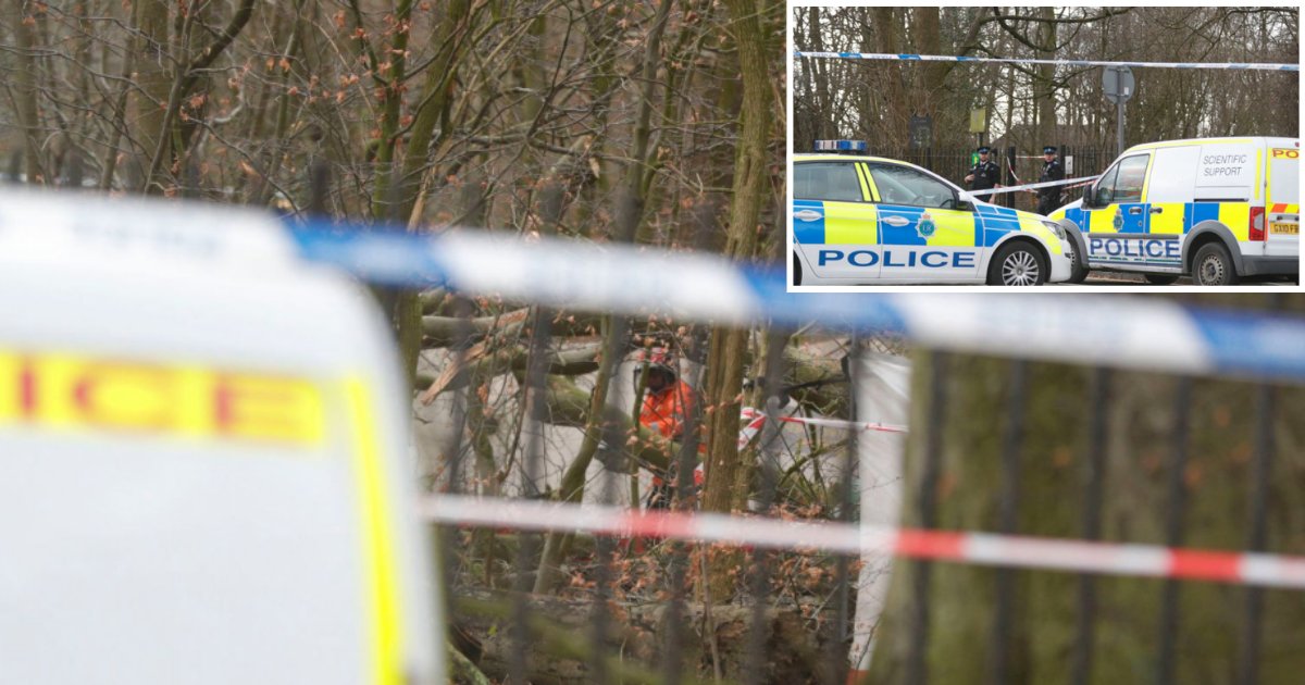 2 30.png?resize=412,275 - Tree Branch Fatally Fell on A Man Who Was Walking His Dog In Liverpool