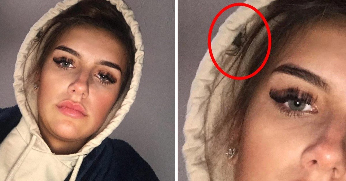 2 38.jpg?resize=1200,630 - Friends Spotted Spider In Teen’s Hoodie After She Shared Post Night Out Selfie To Their Group Chat