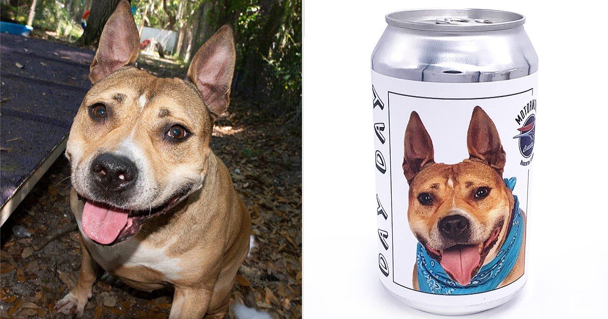 2 58.jpg?resize=1200,630 - Dog Who'd Been Missing For 3 Years Reunited With Owner After She Saw Her Photo On A Beer Can