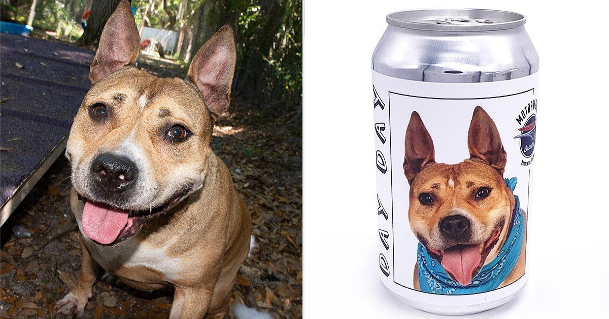 2 58.jpg?resize=412,275 - Dog Who'd Been Missing For 3 Years Reunited With Owner After She Saw Her Photo On A Beer Can