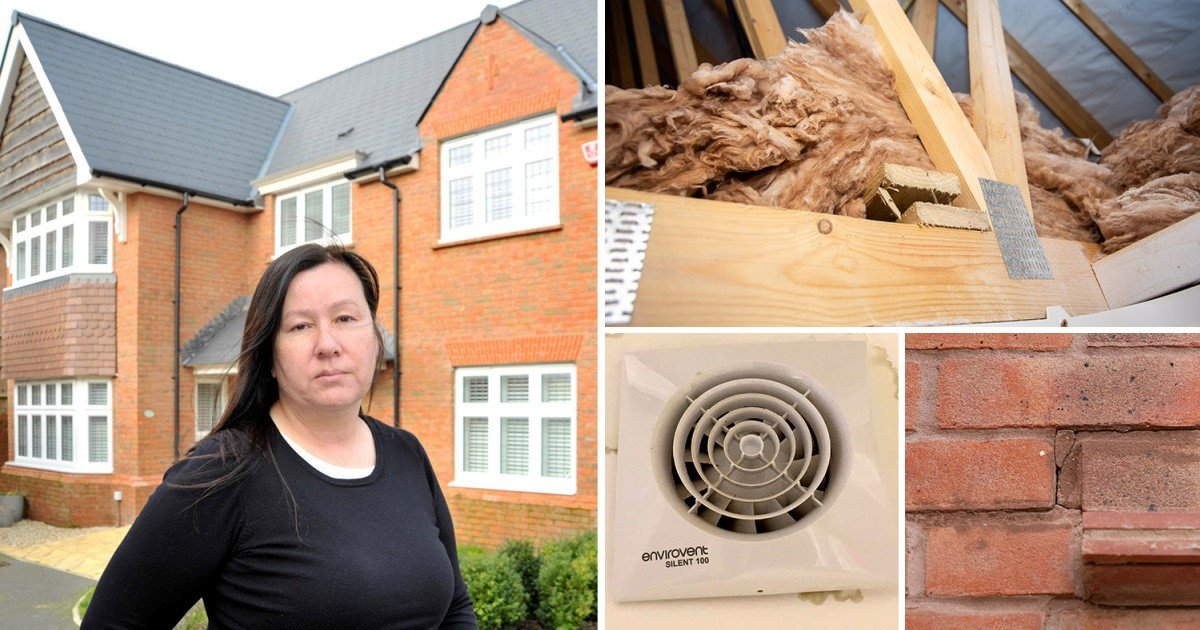 3 42.jpg?resize=1200,630 - Frustrated Woman Found So Many Problems Including Drainage, Water And Electric Problems In Her $613k 'Dream Home'