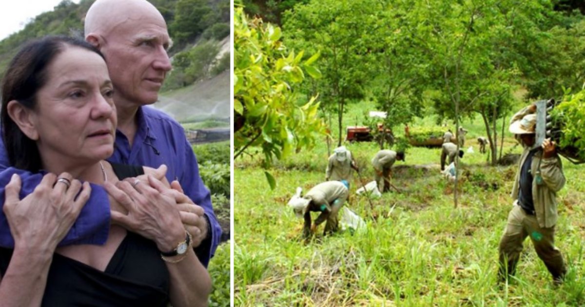 5 31.png?resize=1200,630 - The Environment-Enthusiast Couple Has Planted 2M Trees In 20 Years- It Is A Forest Now