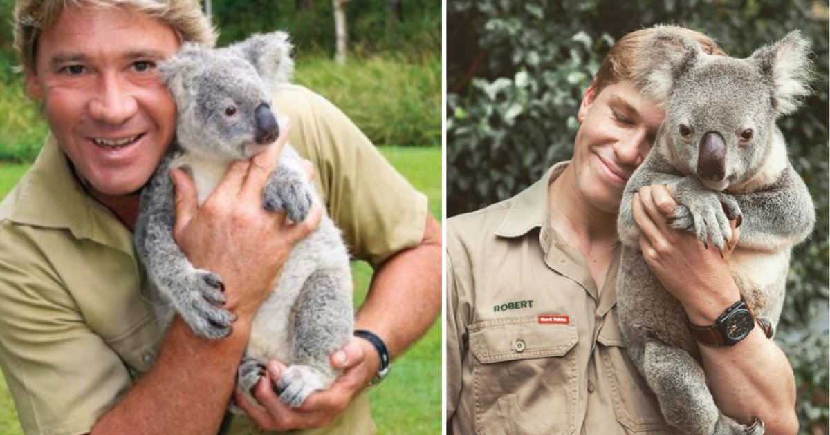 6 30.png?resize=412,275 - Robert Irwin Recreated His Father's Iconic Photo Cuddling A Koala and the Resemblance Is Uncanny