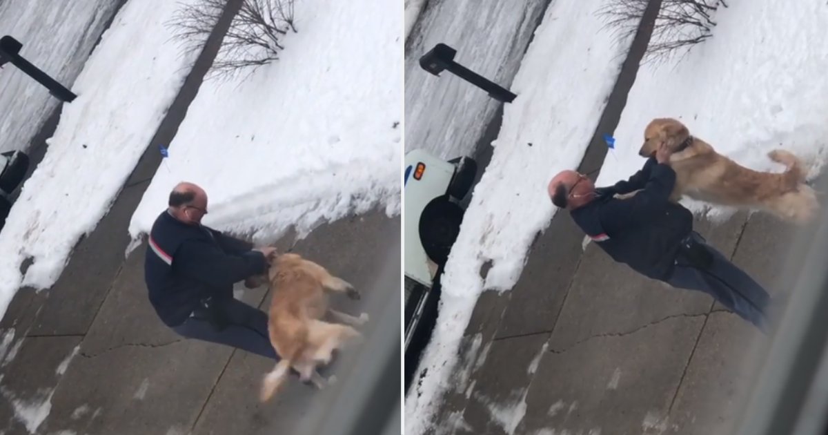 7 15.png?resize=1200,630 - This Dog Waits Daily to Get A Hug From His Favorite Mailman