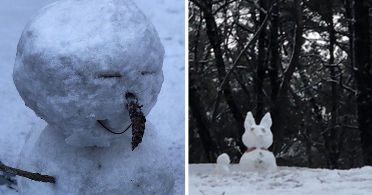 9 21.jpg?resize=1200,630 - "어젯밤에 생겼어요"... 하루만에 동네 점령한 '눈사람' 모음, TOP 12