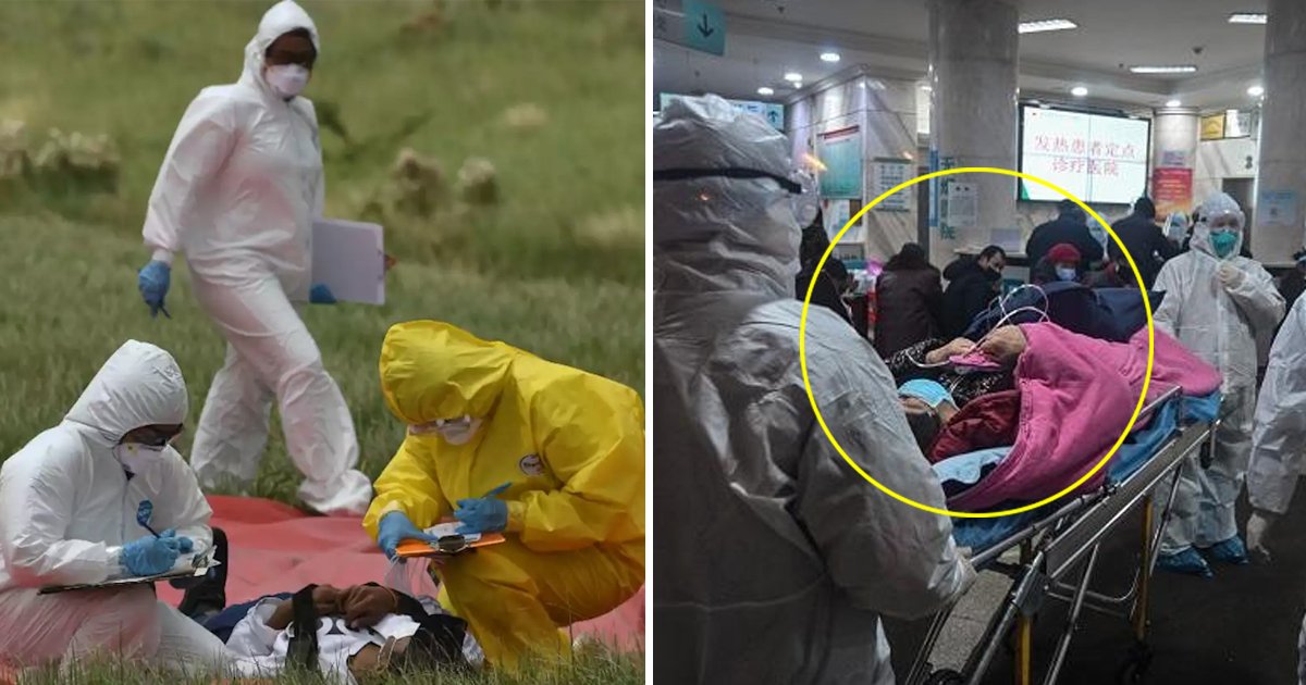 adffasdf.jpg?resize=412,275 - Coronavirus Latest: China Removes Top Hubei Health Officials As Death Toll Exceeds 1,000
