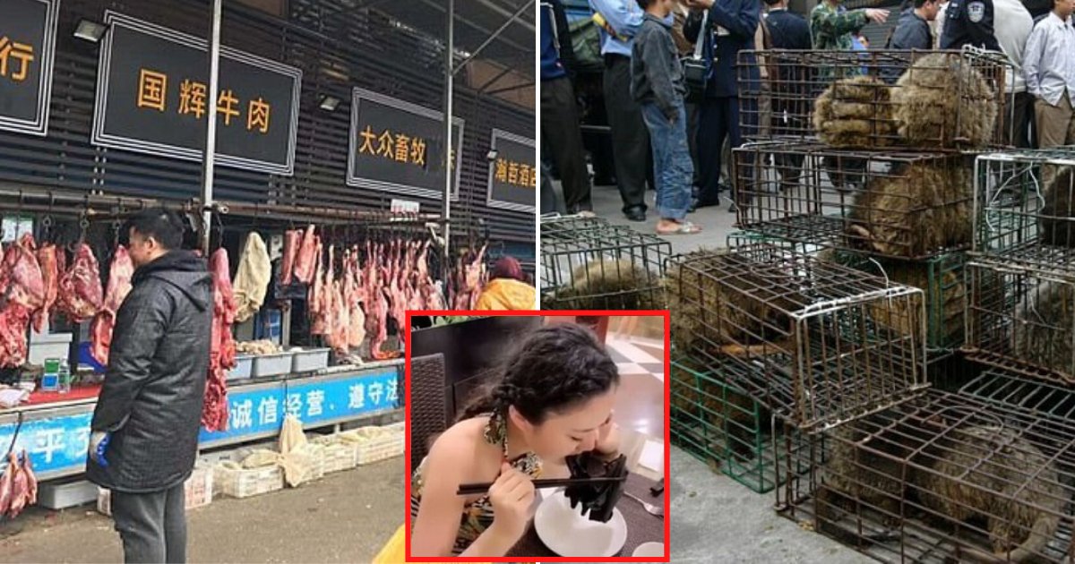 china6.png?resize=412,275 - China Banned Trade And Consumption Of Wild Animals Amid Fears The Practice Started The Coronavirus Outbreak