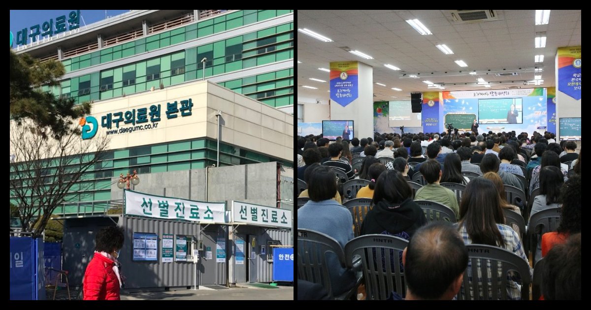 collage 163.png?resize=1200,630 - 31번 환자, 교회·병원·호텔 '대구시내' 구석구석 누비며 서울에 '강남'까지 방문