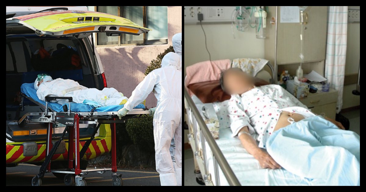 collage 245.png?resize=412,275 - [속보]경북대병원서 확진자 치료 중 숨졌다…8번째 사망자