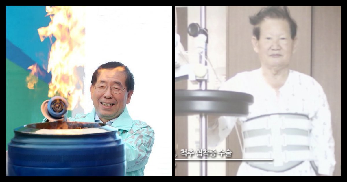 collage 307.png?resize=1200,630 - 박원순 시장, "신천지 관련 법인 허가 취소 및 교주 '이만희' 고발 검토 중"