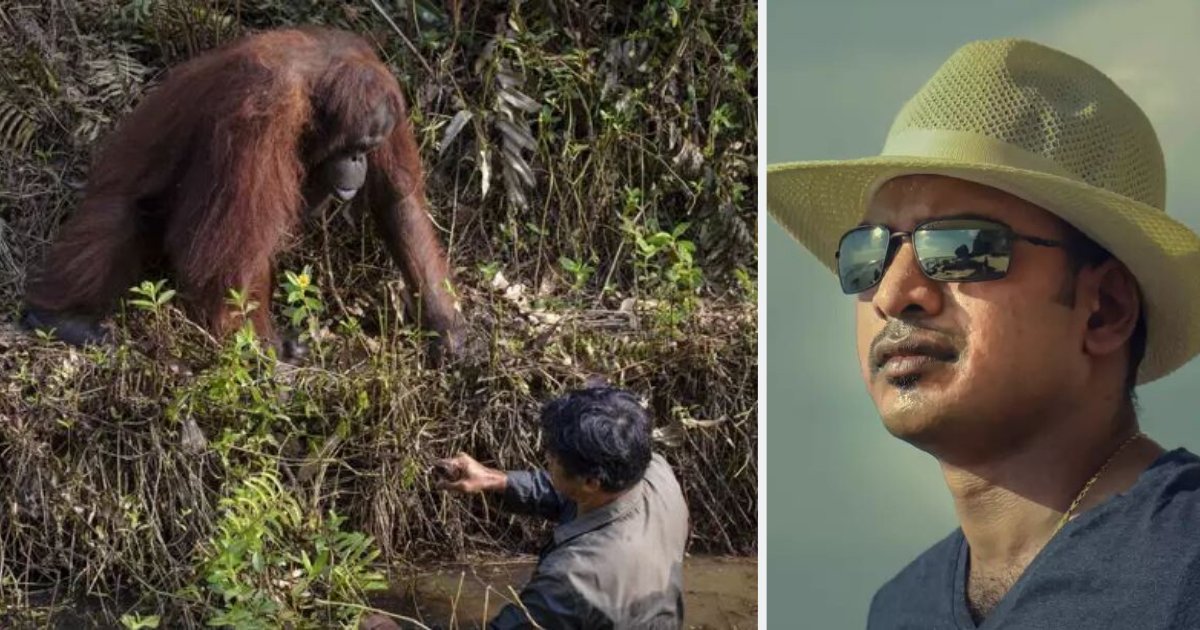 d1 2.png?resize=412,275 - The Orangutan Offers His Hand To The Warden As He Clears The River Of Snakes