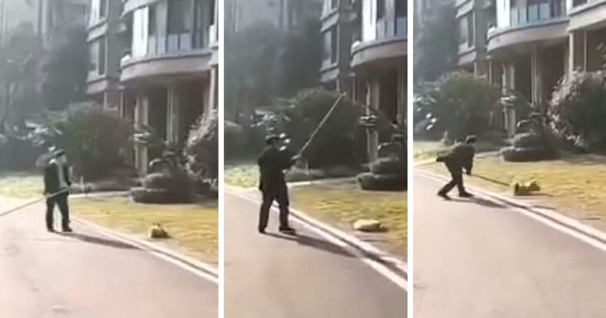 d2 5.png?resize=412,275 - Chinese Officers Are Beating Street Dogs Mercilessly to Avoid The Spread of Coronavirus