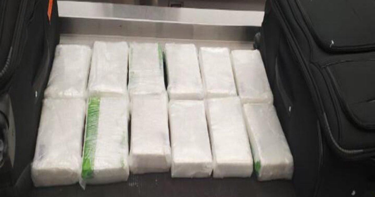 download e1582913422583.png?resize=412,232 - Drogue : Plus de trois tonnes de cocaïne ont été saisies en Italie avant leur arrivée à Marseille