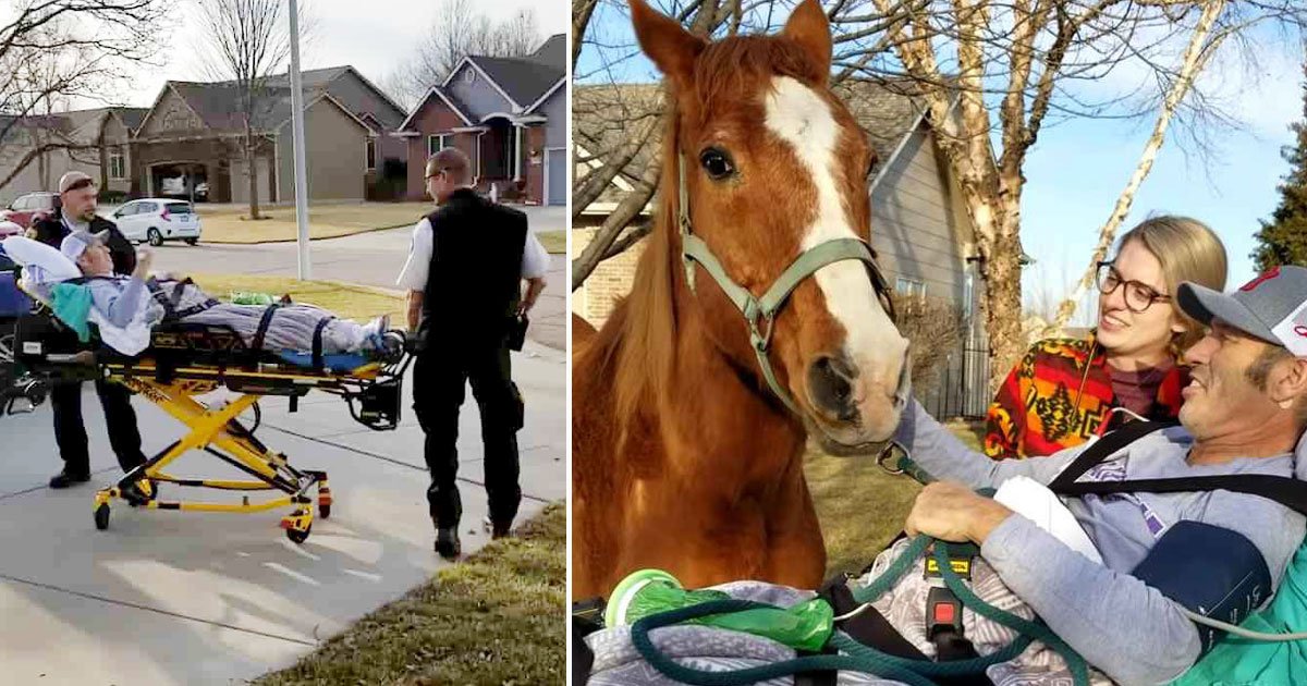 dying cowbot met horse 27 years.jpg?resize=412,275 - Cowboy Passed Away The Next Day After Meeting His Beloved Horse One Last Time To Say A Final Goodbye
