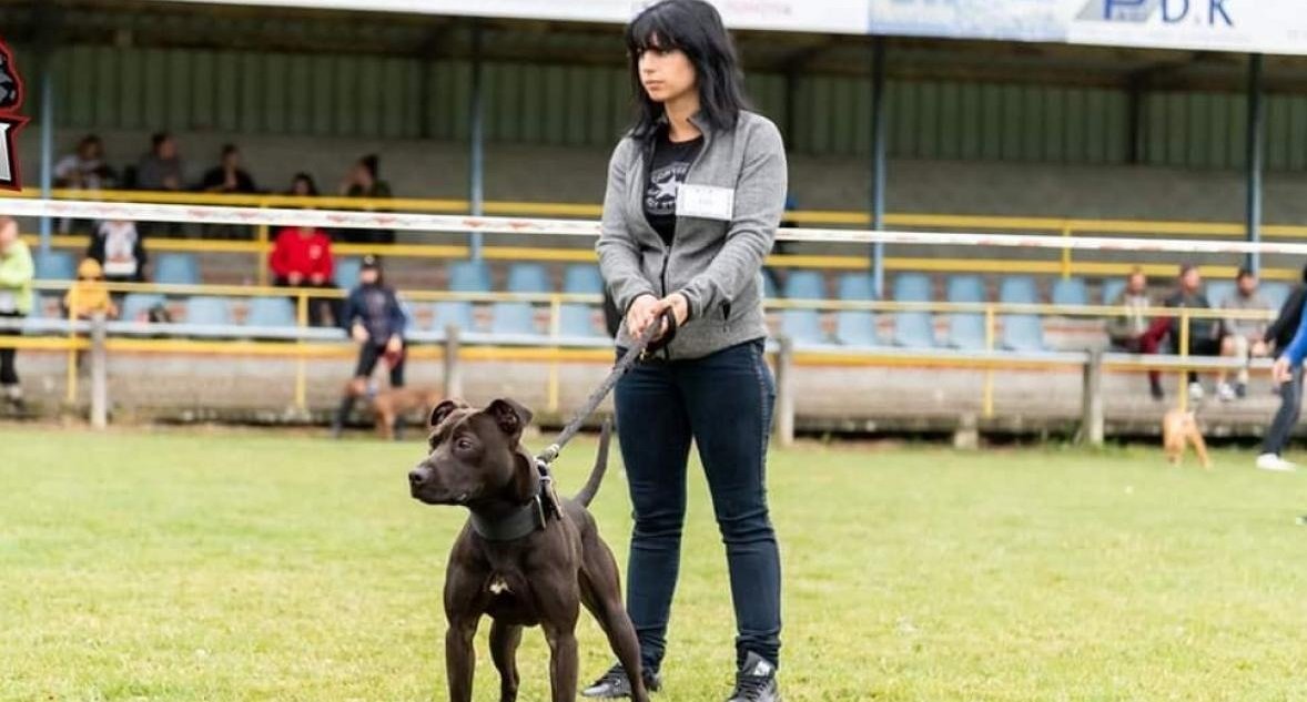 ep.jpg?resize=412,275 - Affaire Elisa Pilarski: les 67 chiens vont être soumis à des analyses ADN