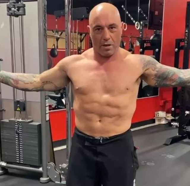 joe-rogan-lost-12lbs-and-gained-a-ripped-physique-with-the-carnivore-diet-small-joys