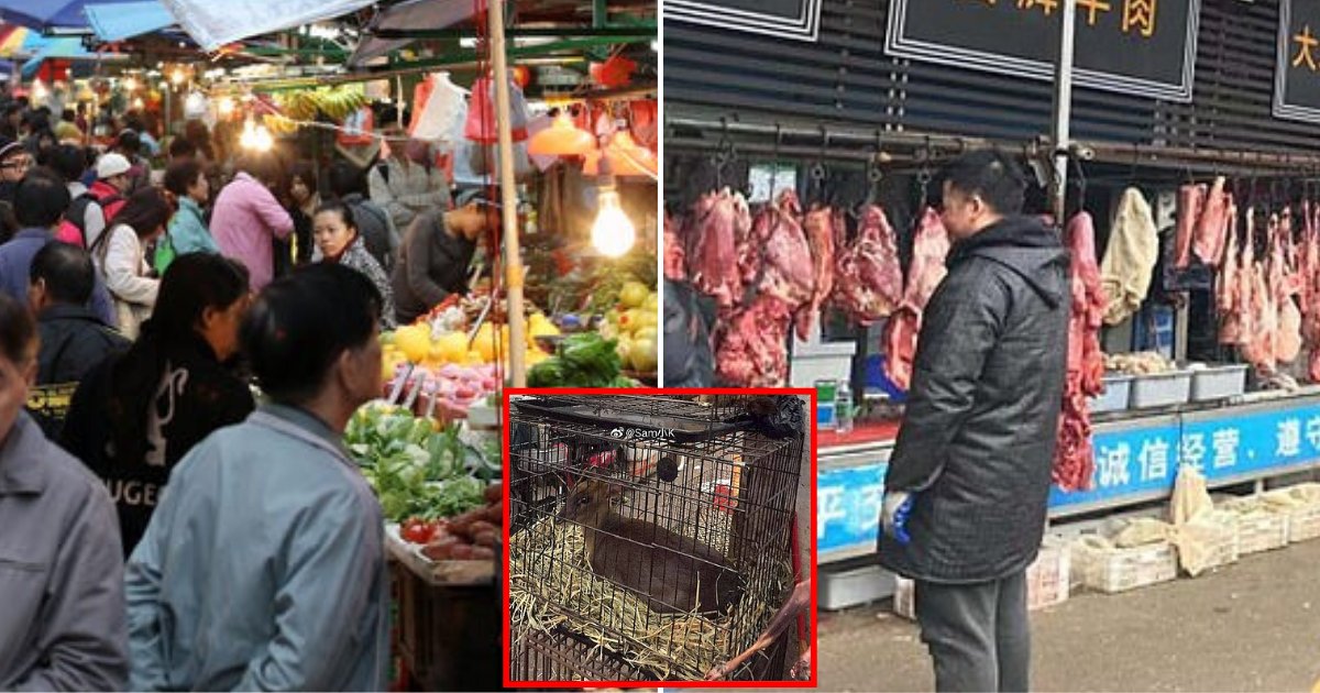 market6.png?resize=412,275 - Market Vendors Around China Arrested For Secretly Selling Live Wild Animals Even After The Trade Was Banned