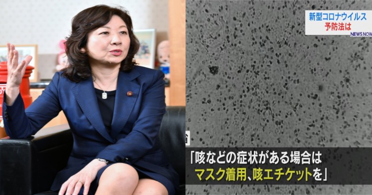 noda.png?resize=412,275 - 野田聖子氏、新型肺炎に頭を悩ませる…「長男はマスクだけでは守れない」⁈