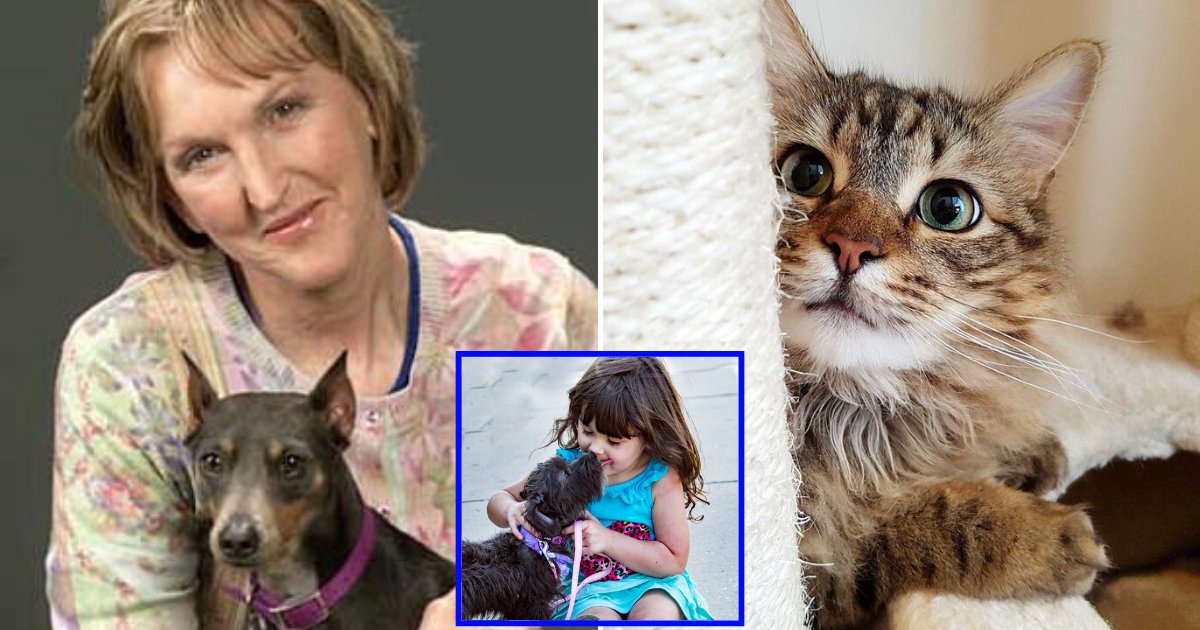 peta7.png?resize=412,275 - ‘They Are Not Your Cheap Burglar Alarm!’ PETA Chief Calls The Term 'Pets' Derogatory To Animals