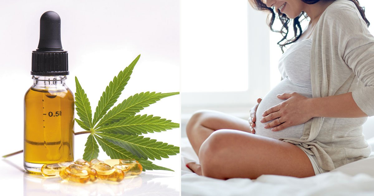 pregnant breastfeeding women urged avoid cbd.jpg?resize=1200,630 - FSA Concerns The Use Of CBD And Provides Safety Advice To Users