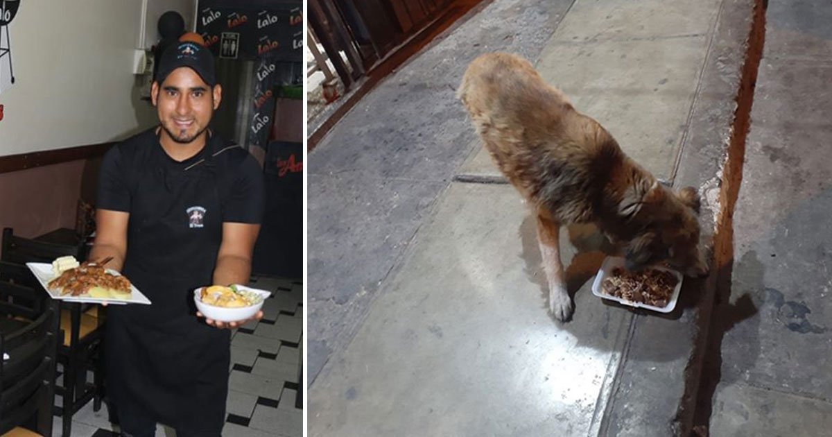 restaurant owner prepare meals stray dogs leftovers.jpg?resize=1200,630 - Kind-Hearted Restaurant Owner Prepare Meals For Stray Dogs Using Leftovers