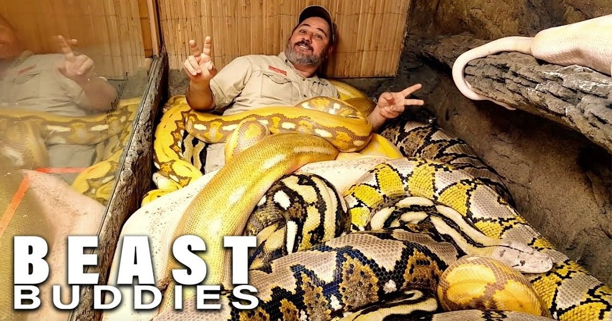 s3 6.jpg?resize=412,232 - Avid Snake Owner Dubbed The "Snake God" Loves Wrestling 20-Foot Pythons