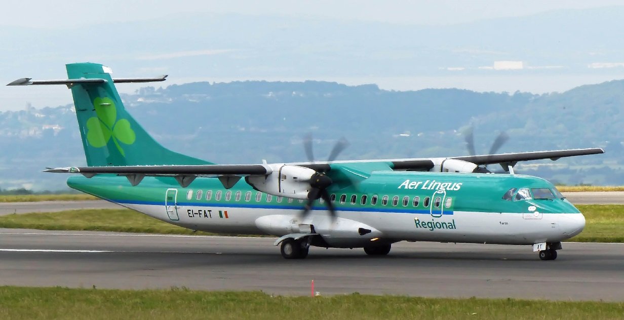 stobart air.jpg?resize=1200,630 - Un avion a été obligé de faire demi-tour après voir percuté.... un lapin !