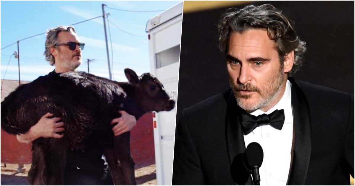 thumbnail 20.jpg?resize=1200,630 - Actor Joaquin Phoenix Saved A Calf And Its Mother From A Slaughterhouse A Few Days After His Oscar Speech