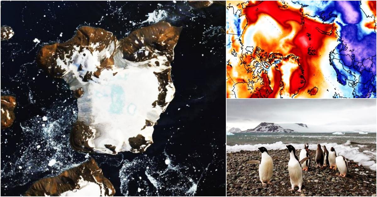 thumbnail 29.jpg?resize=1200,630 - NASA Satellite Images Reveal The Effects Of Heatwave In Antarctica Melting 20% Of Snow In 9 Days