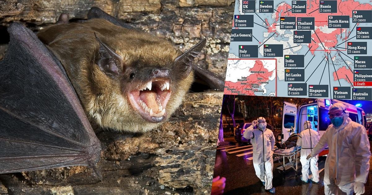 thumbnails.jpg?resize=412,275 - BREAKING NEWS: Scientists Confirm That Bats Are The Most Probable Source Of China's Coronavirus