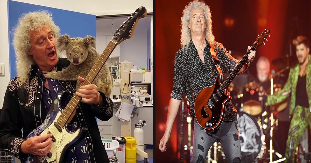 untitled 1 74.jpg?resize=412,232 - Queen's Brian May Shared 'Sweet Moment' With Koala Before Performing At Australia Bushfire Relief Concert