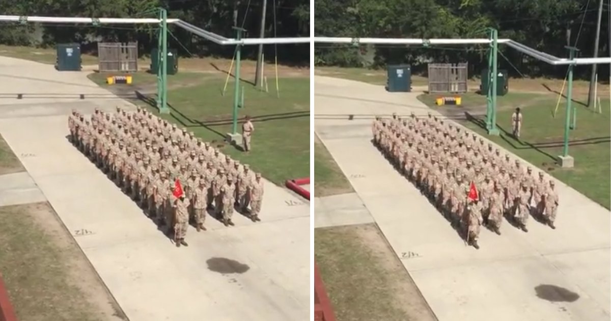 untitled design 1 5.png?resize=1200,630 - Group of Soldiers Performs Flawless Trick Drill Movements 