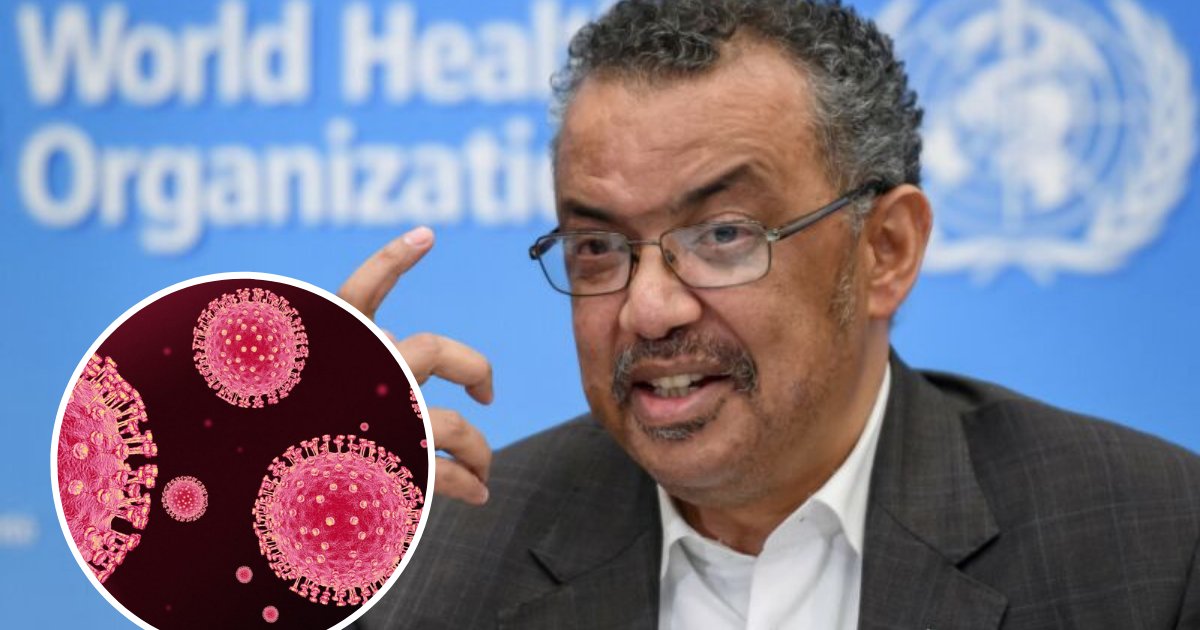 untitled design 1.png?resize=412,275 - Coronavirus Outbreak Declared A Global Health Emergency By The World Health Organization