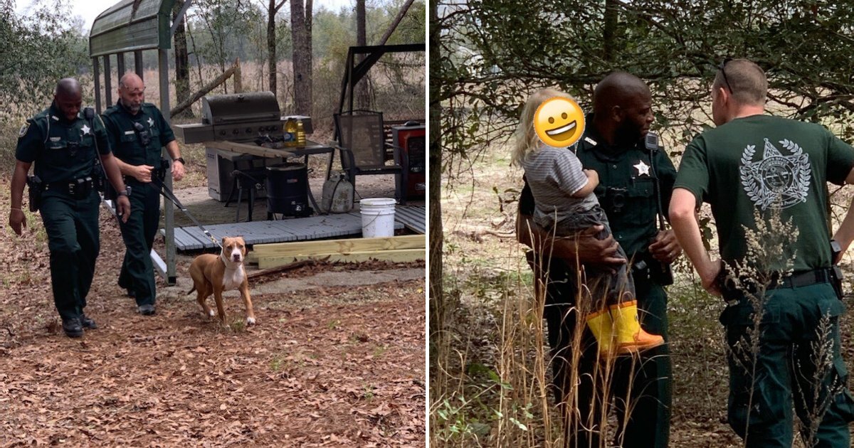 untitled design 12 1.png?resize=412,275 - Hero Dog Stayed With Lost Toddler For Hours Until The Police Found Him