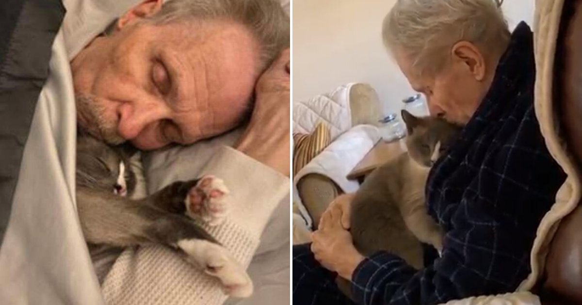 untitled design 28 1.png?resize=1200,630 - Loving Cat Comforts Grandfather With Alzheimer's And Stays By His Side All Day