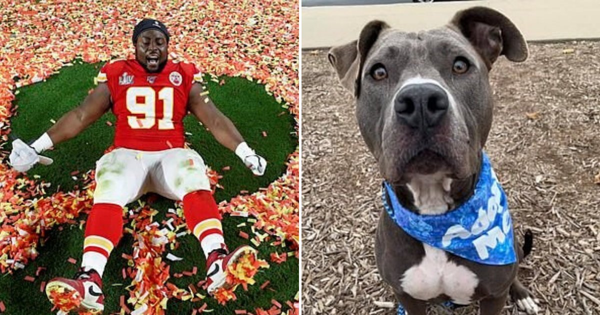 untitled design 29.png?resize=412,275 - Footballer Derrick Nnadi Paid For All Pet Adoptions At Local Shelter After Super Bowl Win