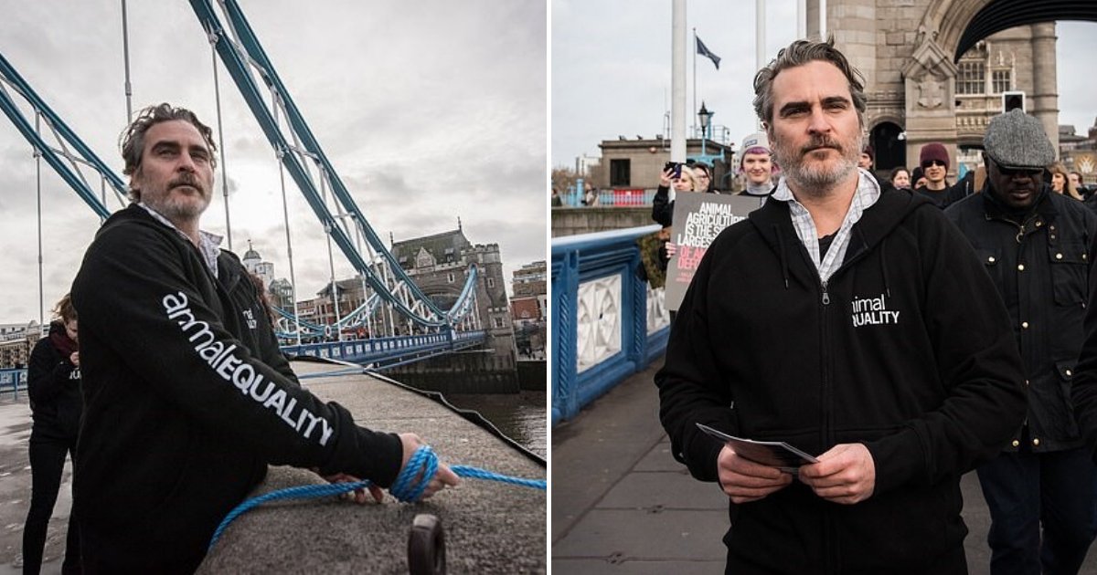 untitled design 31.png?resize=412,275 - Joaquin Phoenix Tied Himself To A Bridge As He Urged People To Go Vegan