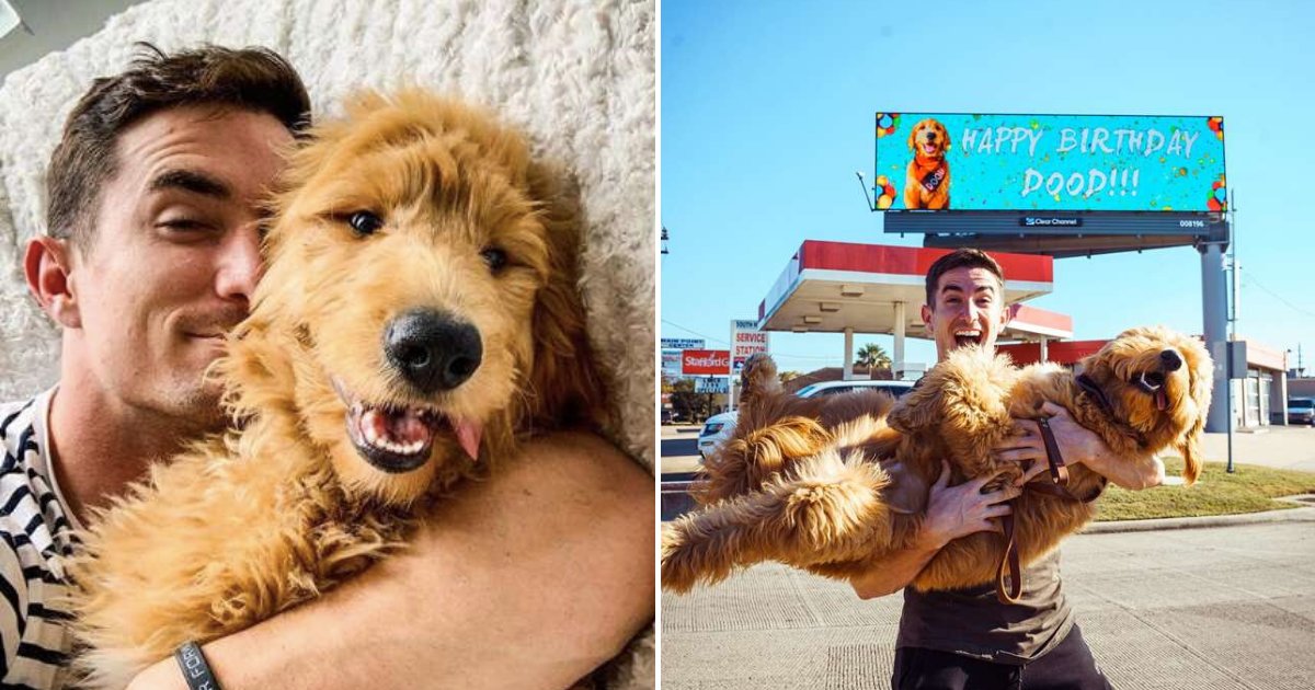untitled design 6.png?resize=412,275 - Proud Owner Rented A Billboard To Share His Dog's Birthday With The Whole Town