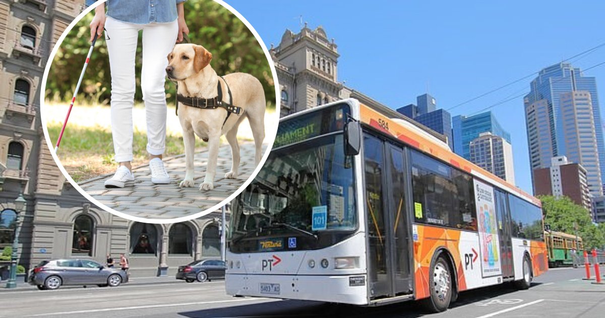 untitled design 75.png?resize=1200,630 - Un bus interdit à une femme aveugle de monter à cause de son chien-guide