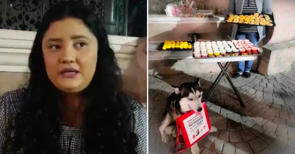 untitled design 8.png?resize=412,275 - Woman Selling Cupcakes To Pay For Her Sick Dog's Medical Expenses
