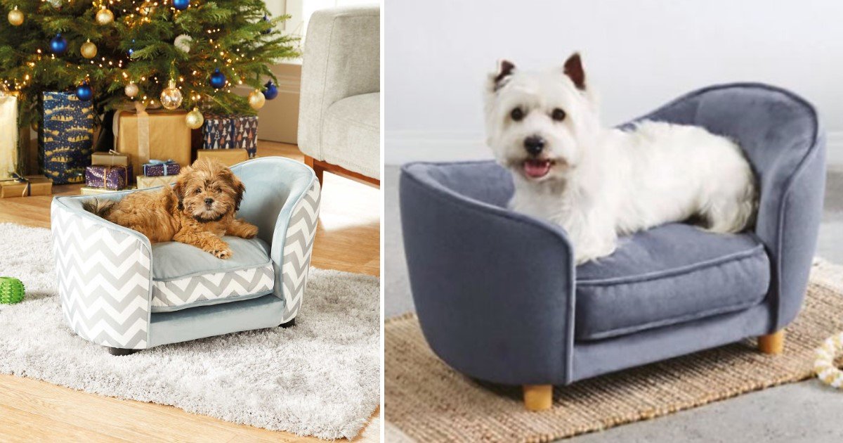 1 109.jpg?resize=1200,630 - A Company Launched A Range Of Tiny Comfy Sofas For Your Pets